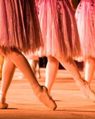 Les Grands Ballets Canada