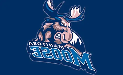 Manitoba Moose