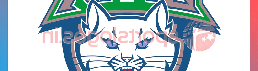 Minnesota Lynx