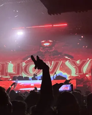 Ray Volpe