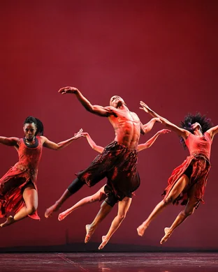 Company Wayne Mcgregor