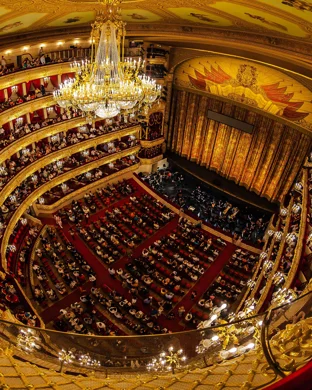 Ricardo Marinello Opera Gala Recital